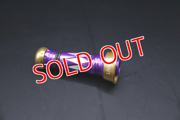 画像2: NEWカスタムバランサーtype-2 / C1 パープル＆GOLD (2)