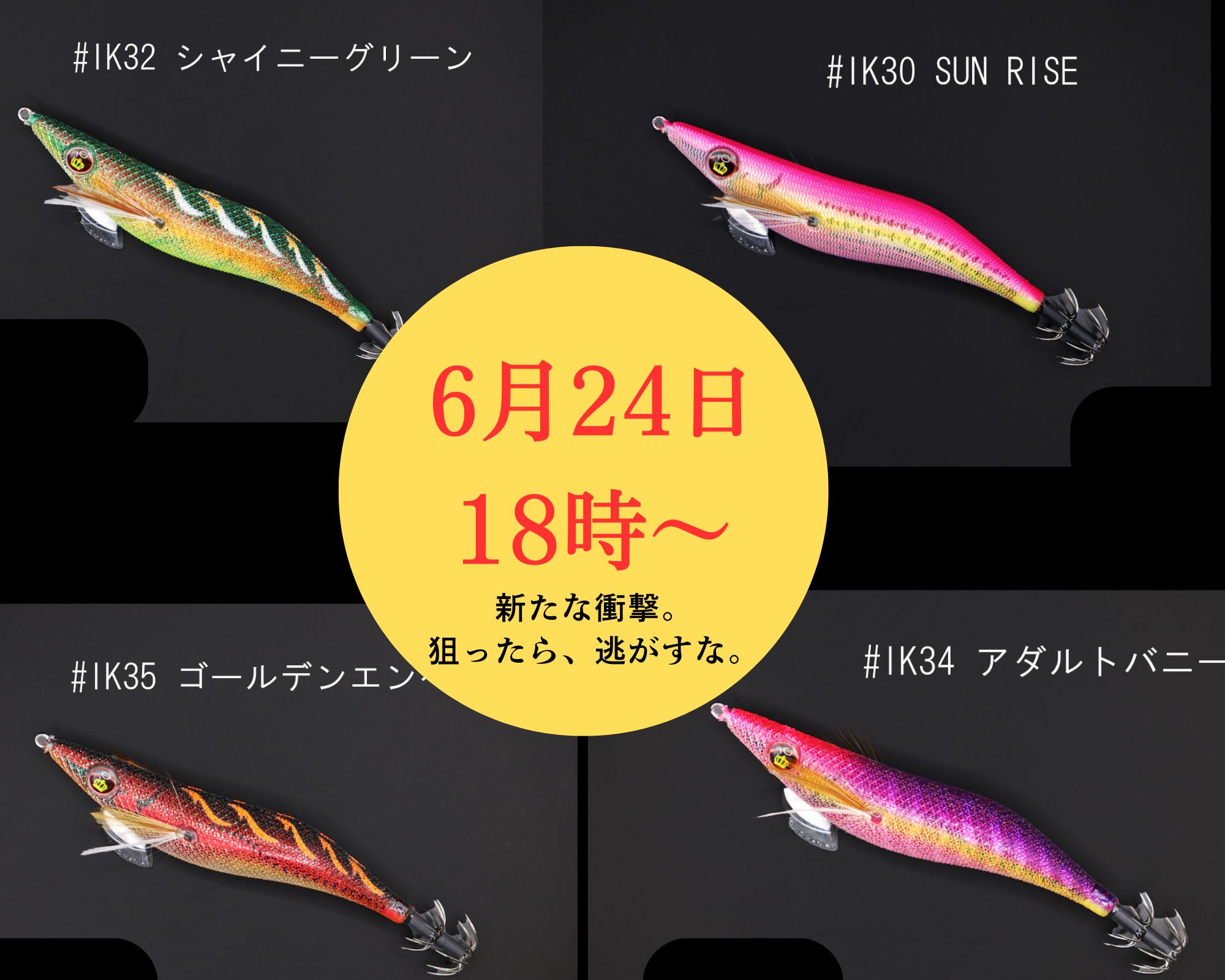 WILD CHASE 3.0号 新色、明日6/24(火)18:00 発売!