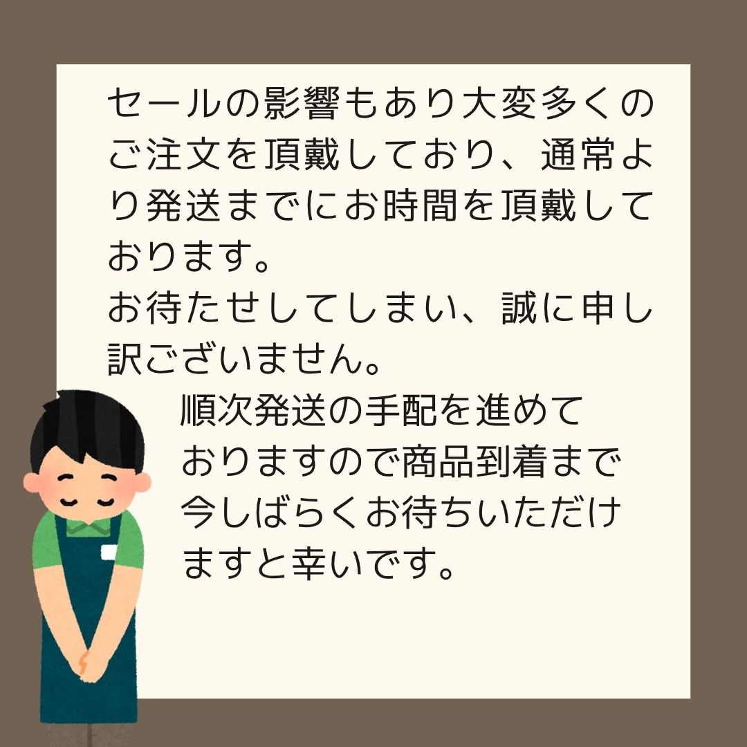 スクイッドマニア 烏賊スタイル限定 ライフジャケット ライフジャケット入荷！！