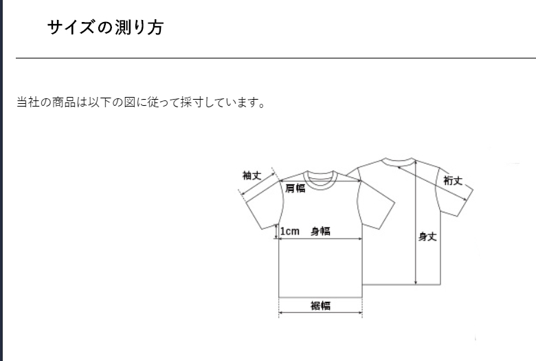 スクマニ イカスタ シルキータッチdry Tシャツ ラメシルバー Lサイズ 送料無料お手入れ要らず