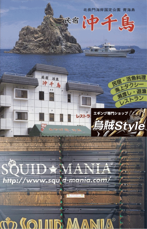 ストア SQUID MANIA × 烏賊Style ミリタリータクティカルジャケット ai